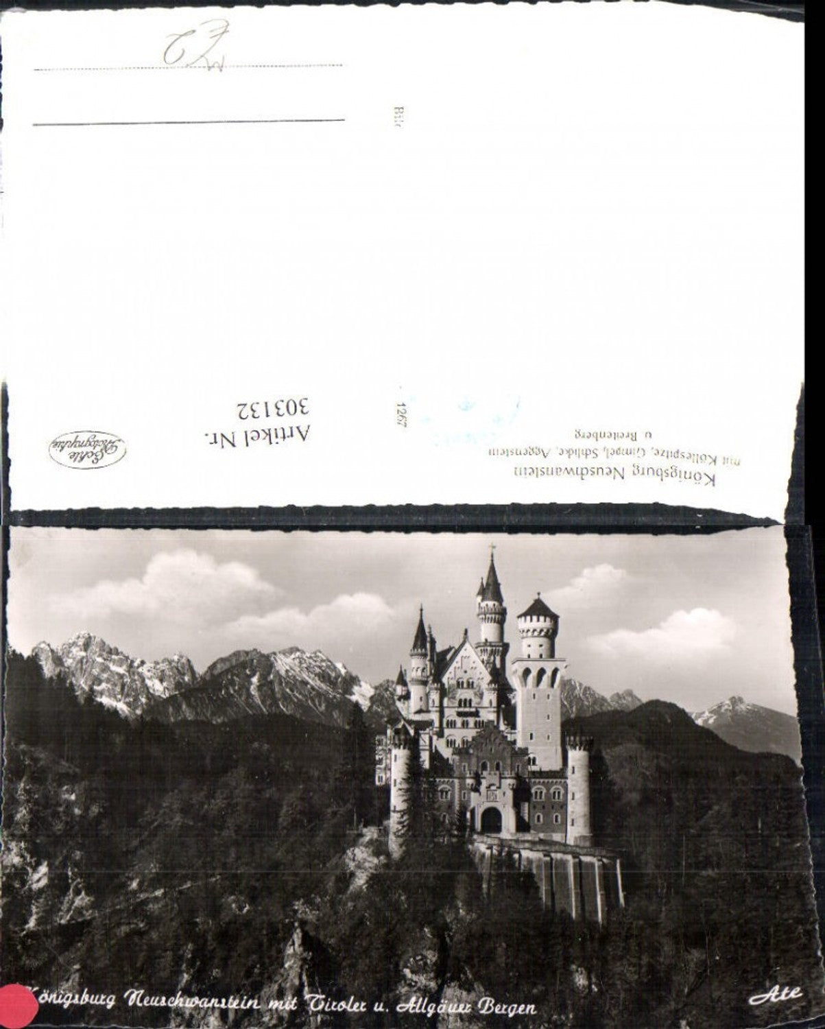 303132,Foto Ak Königsburg Neuschwanstein m. Tiroler u. Allgäuer Bergen