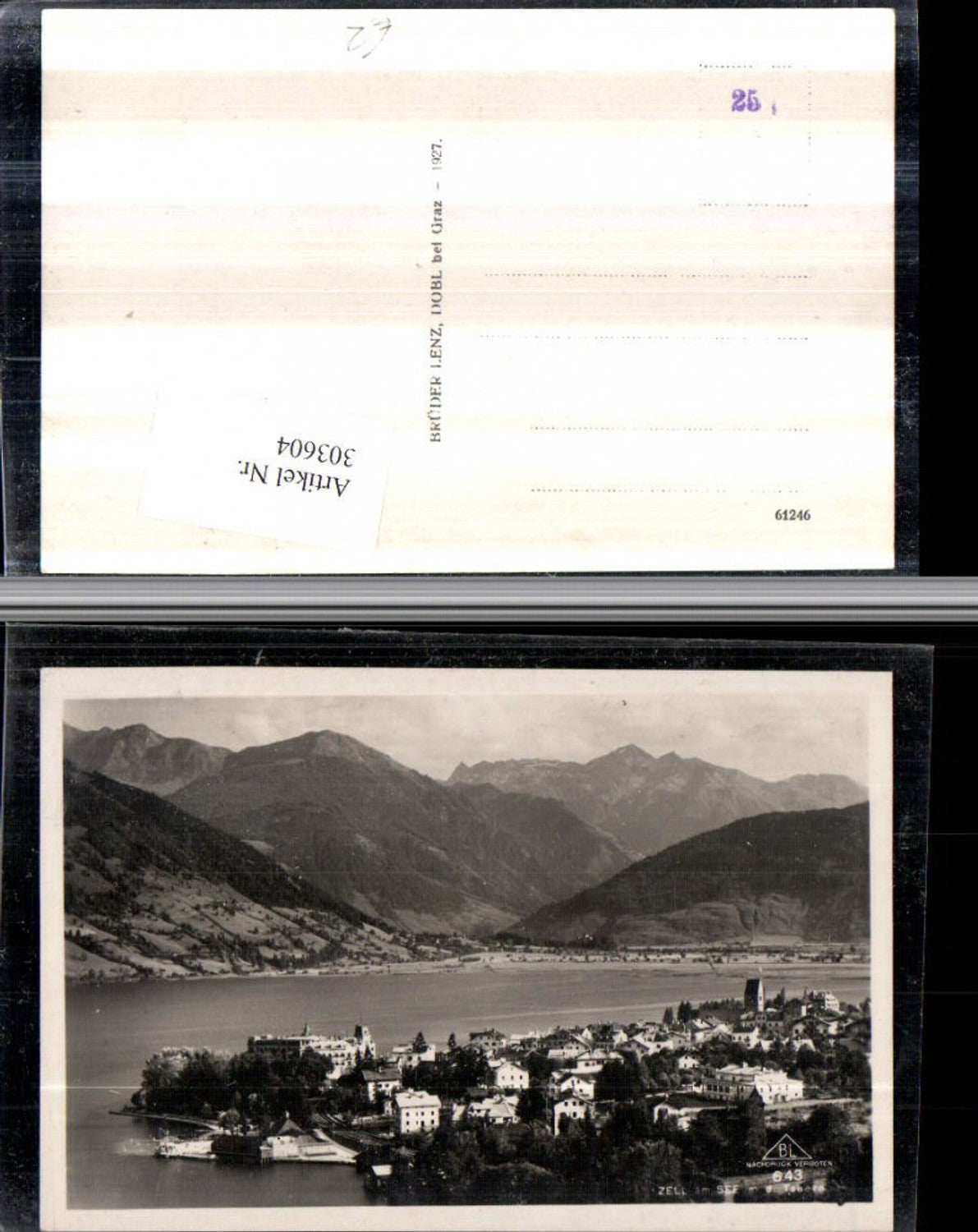 303604,Zell am See Totale geg. Tauern Bergkulisse