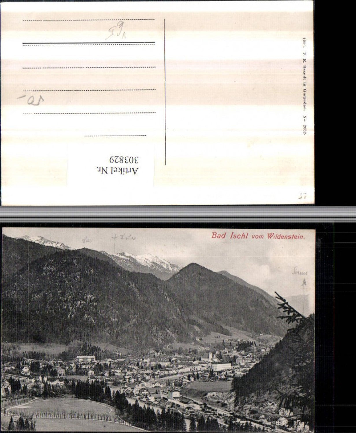 303829,Bad Ischl Totale vom Wildenstein Bergkulisse pub F. E. Brandt 2062
