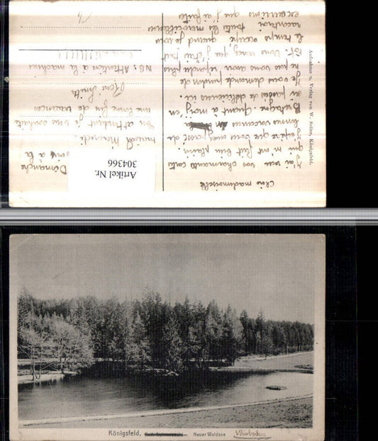 304366, Königsfeld in the Black Forest, Waldsee Lake