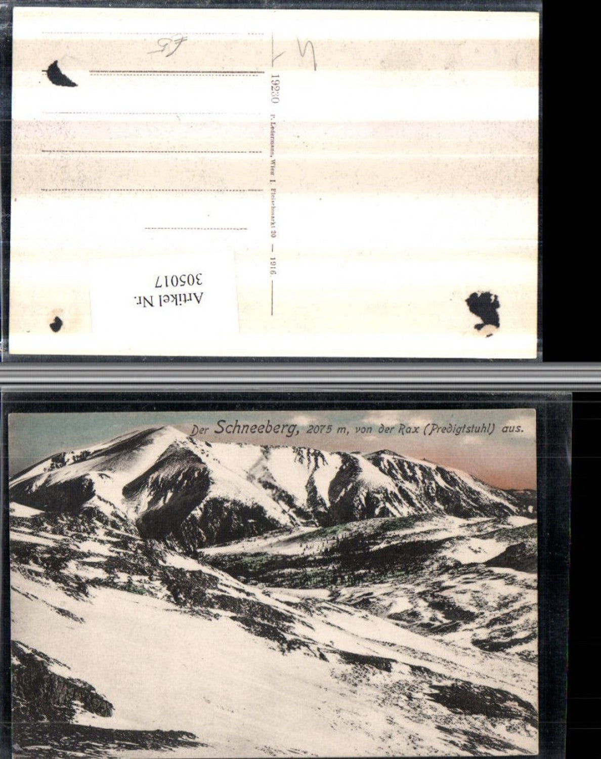 305017,Schneeberg von d. Rax Predigtstuhl b. Prein Reichenau Bergkulisse