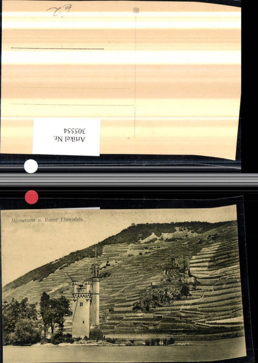 305554,Mäuseturm Turm u. Ruine Ehrenfels b. Rüdesheim