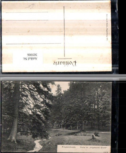 305906, Friedrichroda, area in the Ungemöhren Grund