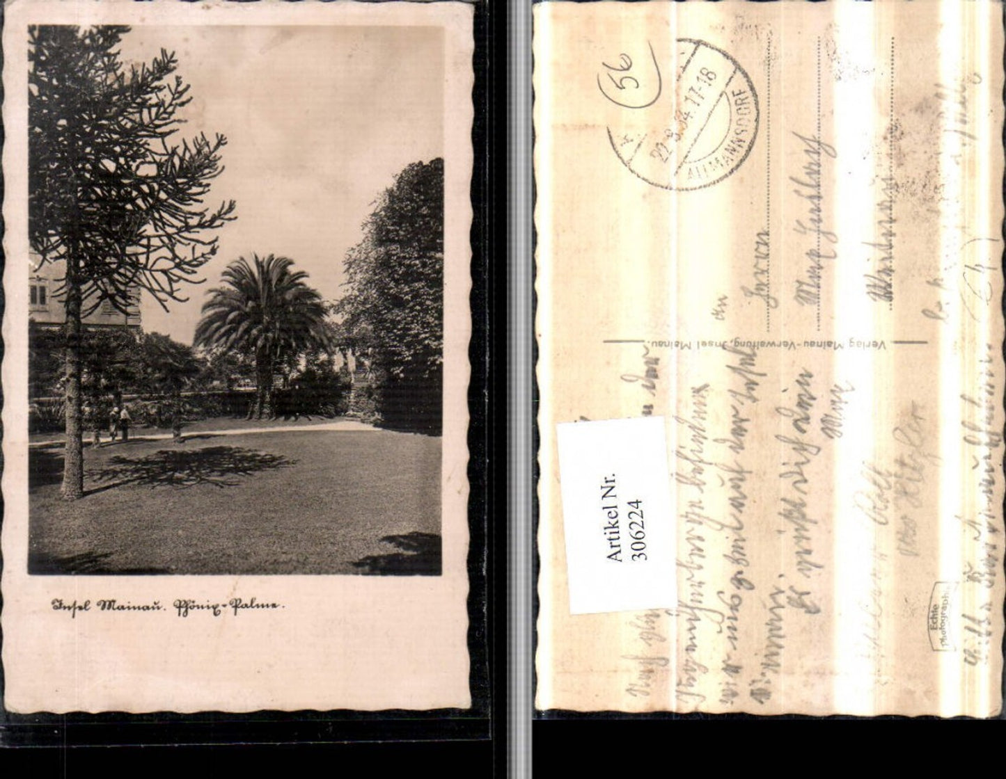 306224, Mainau Island Phoenix Palms Date Palms