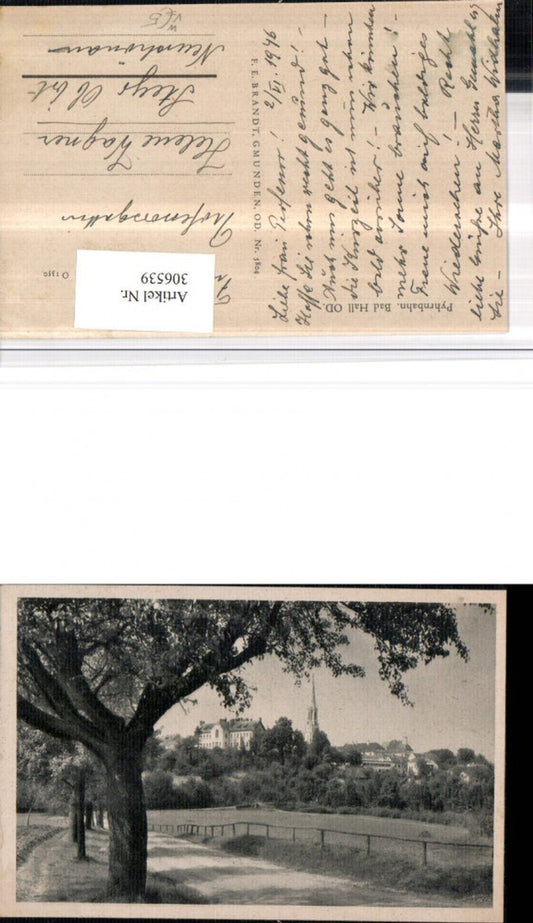 306539,Bad Hall Teilansicht Wegpartie pub F. E. Brandt 5804