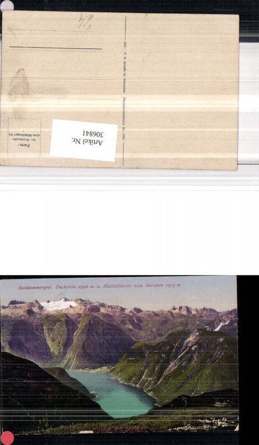 306841,Dachstein u. Hallstättersee vom Sarstein b. Bad Goisern pub F. E. Brandt 1001