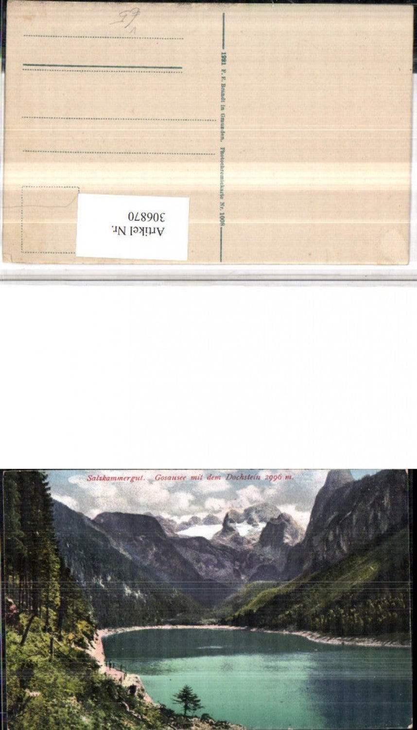 306870,Gosausee See b. Gosau m. Dachstein Bergkulisse pub F. E. Brandt 1008