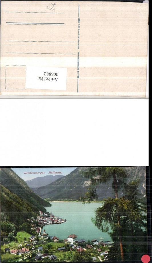 306882,Hallstatt Totale pub F. E. Brandt 735