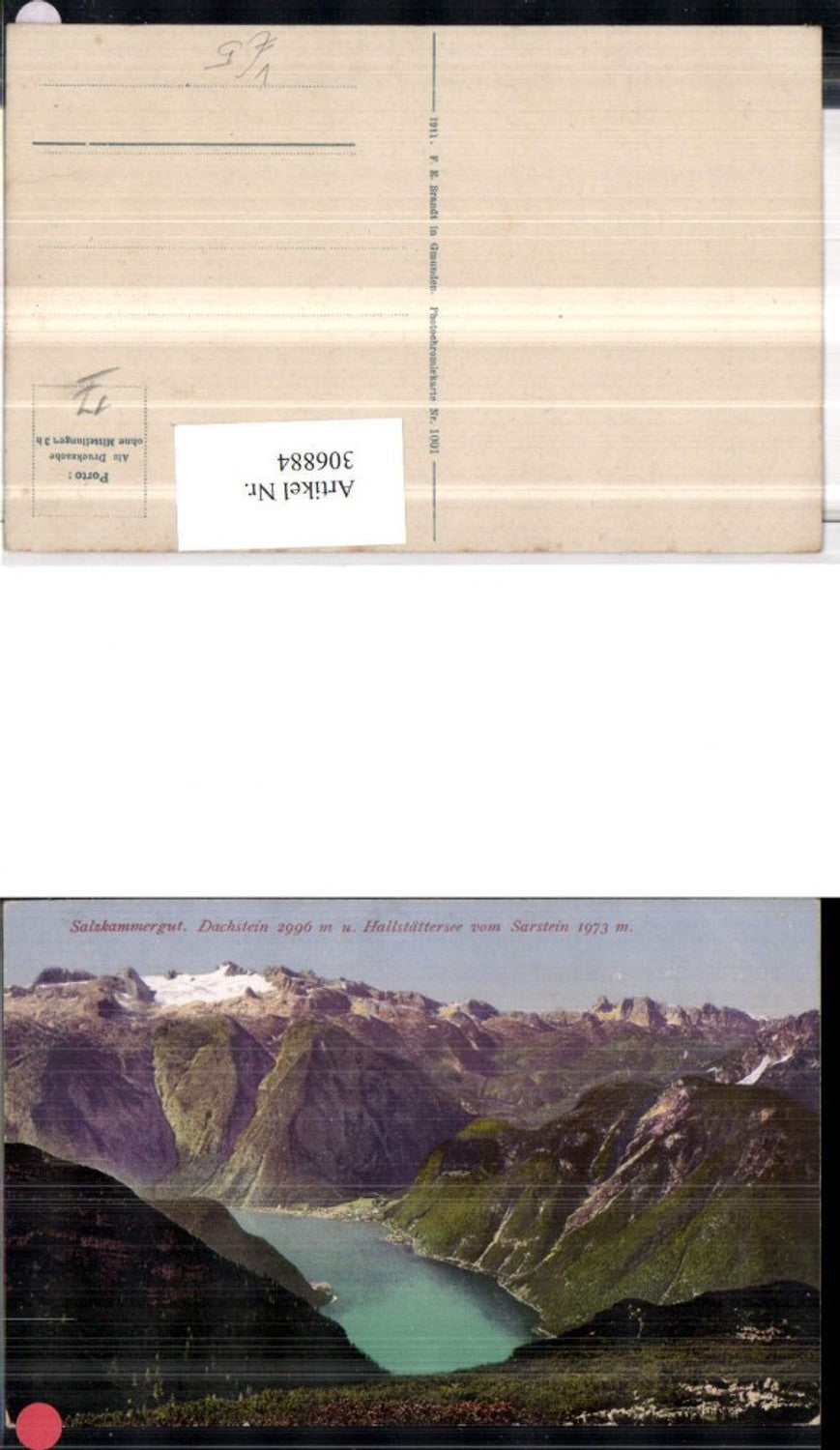 306884,Dachstein u. Hallstättersee vom Sarstein b. Bad Goisern pub F. E. Brandt 1001