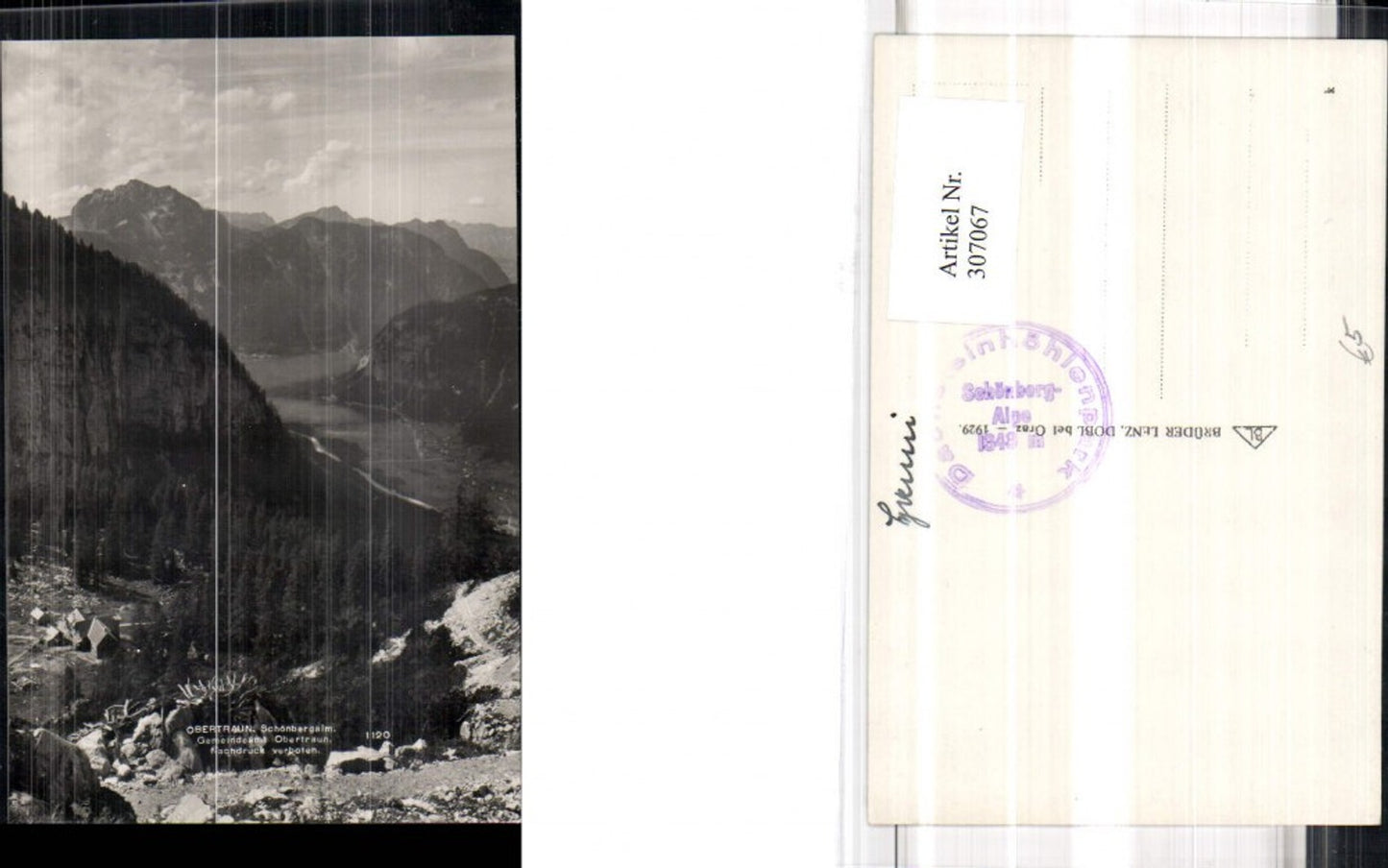 307067,Obertraun Schönbergalm Bergkulisse