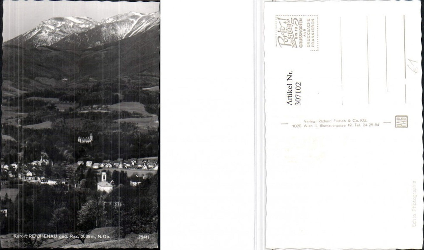 307102,Reichenau Teilansicht geg. Rax Bergkulisse