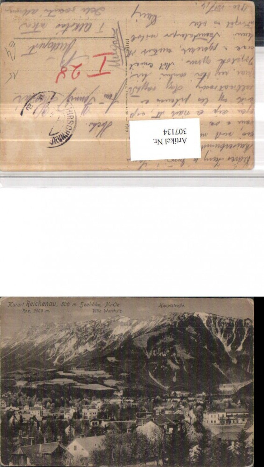 307134,Reichenau Totale m. Villa Wartholz geg. Rax Bergkulisse