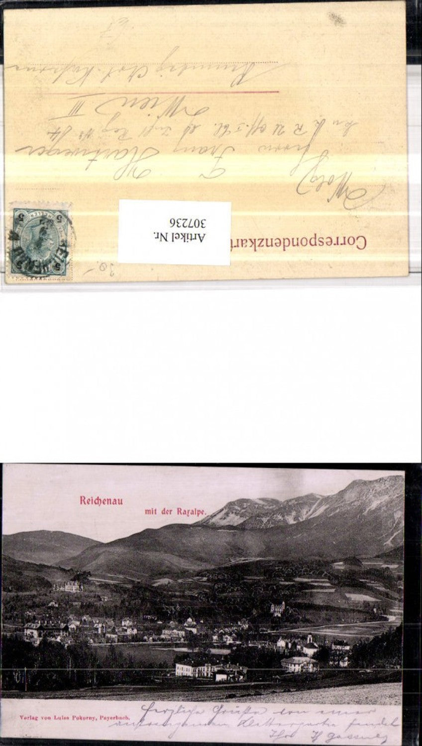 307236,Reichenau Totale m. Raxalpe Bergkulisse