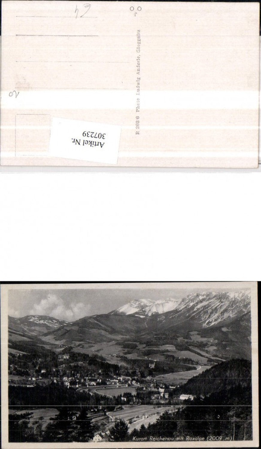 307239,Reichenau Totale m. Raxalpe Bergkulisse
