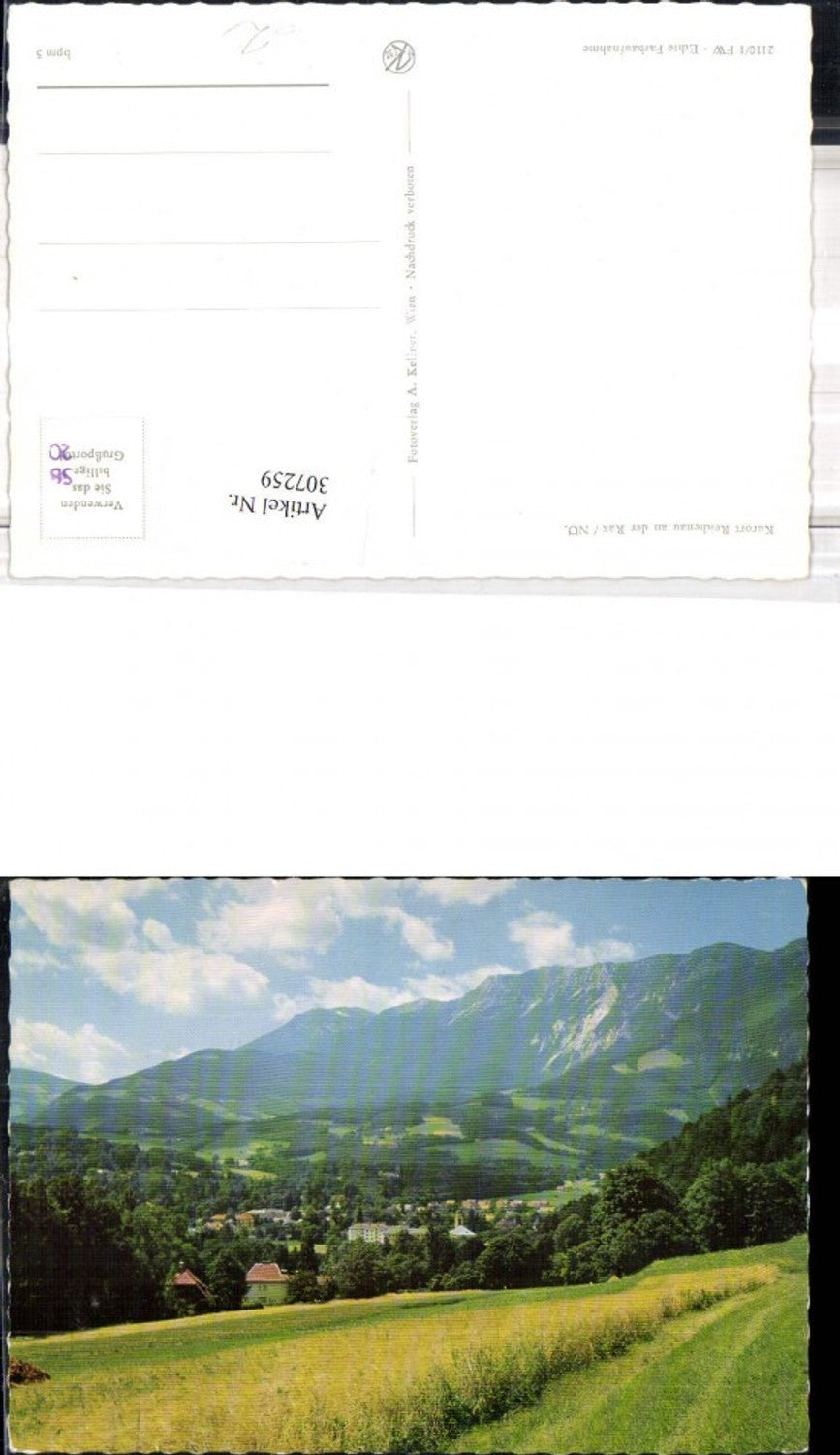 307259,Reichenau an d. Rax Teilansicht Bergkulisse