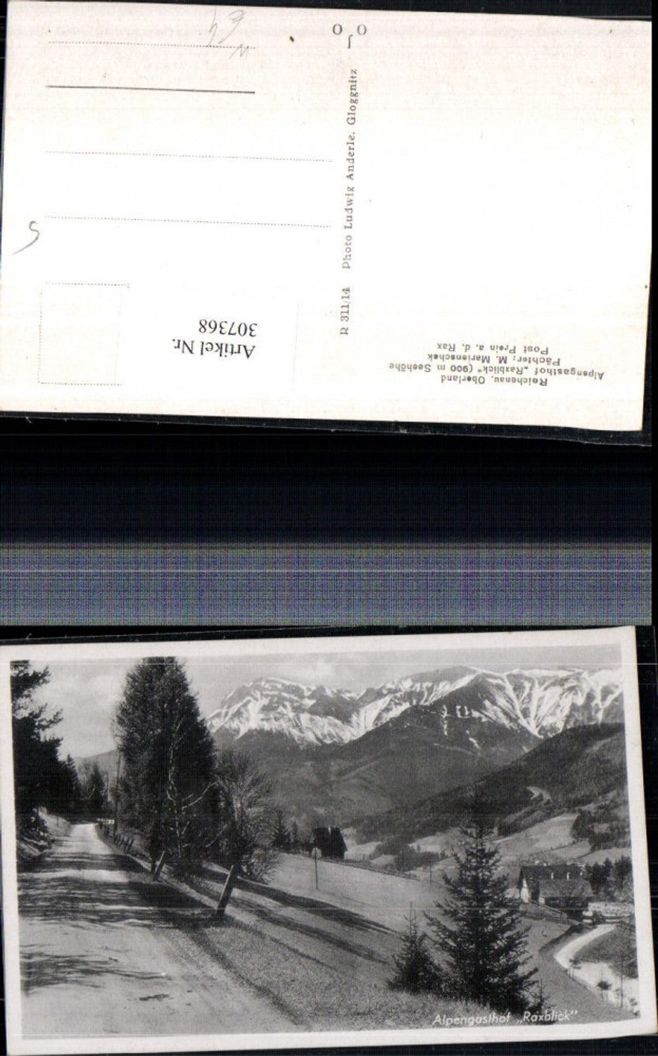 307368,Reichenau Prein Alpengasthof Raxblick geg. Rax Bergkulisse