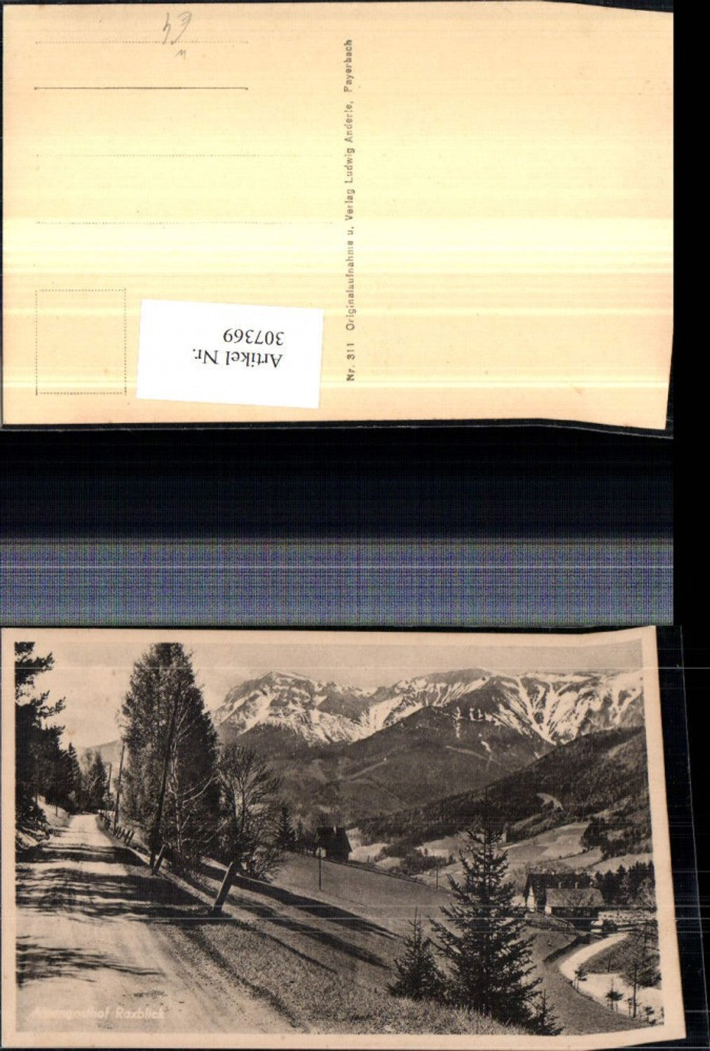 307369,Reichenau Prein Alpengasthof Raxblick geg. Rax Bergkulisse