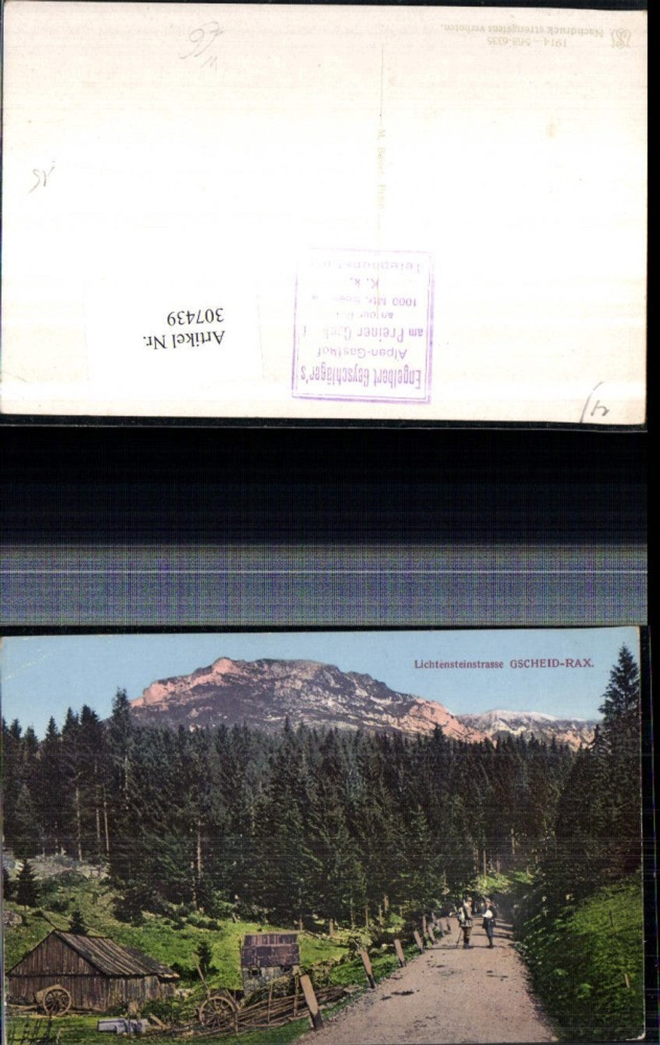 307439, Lichtensteinstraße Gscheid-Rax near Prein, mountain scenery