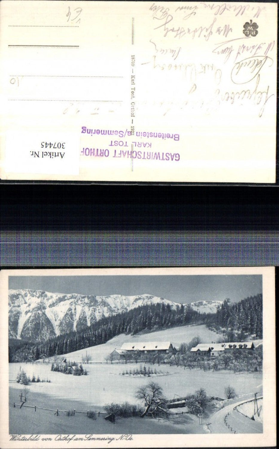 307445, Orthof am Semmering mountain scenery winter picture pub Karl Tost 18709