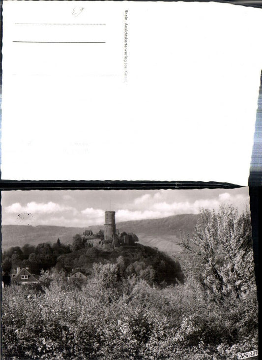 308064,Frühling in Bad Godesberg Burg Baumblüte