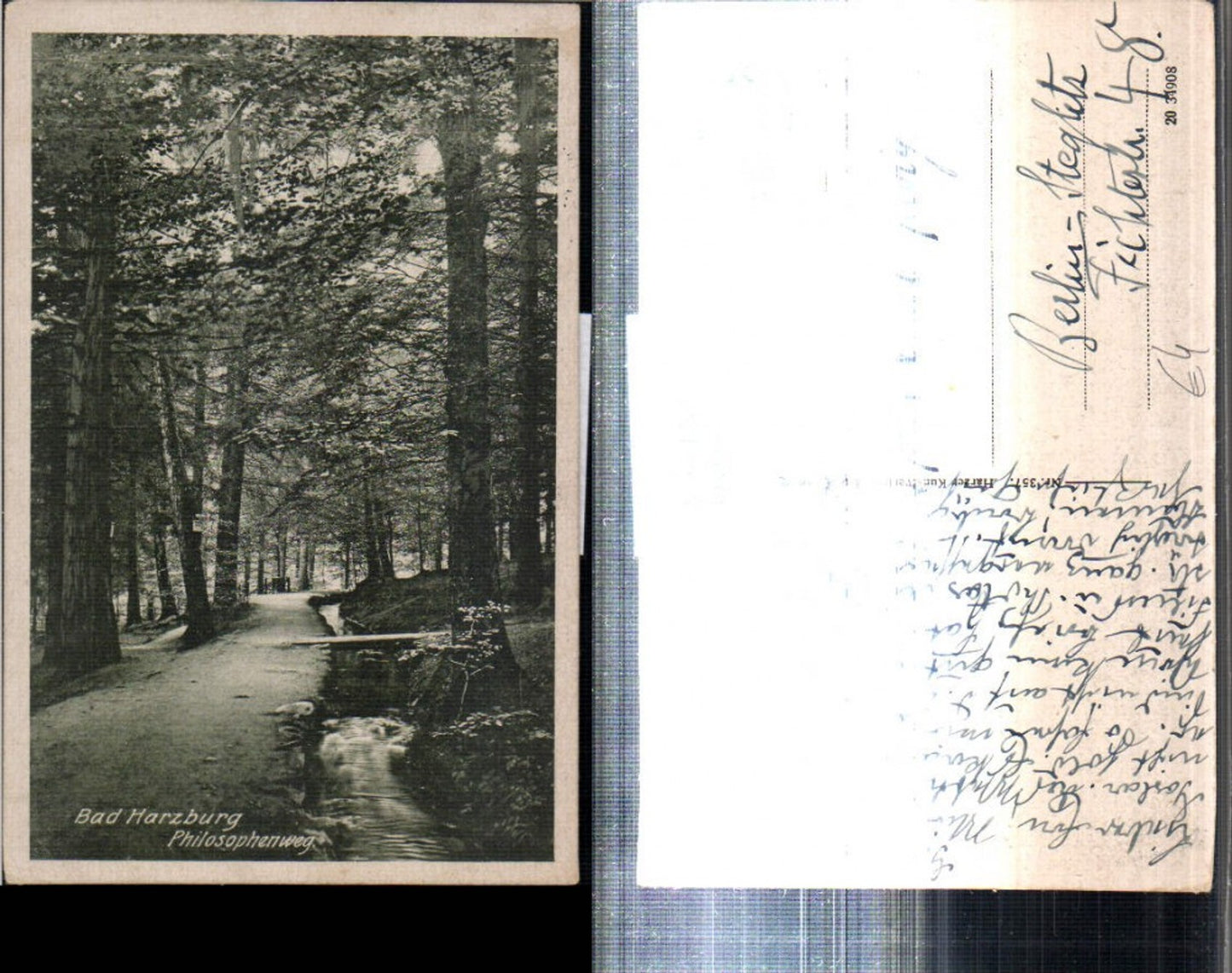 308185,Bad Harzburg Philosophenweg Wegpartie