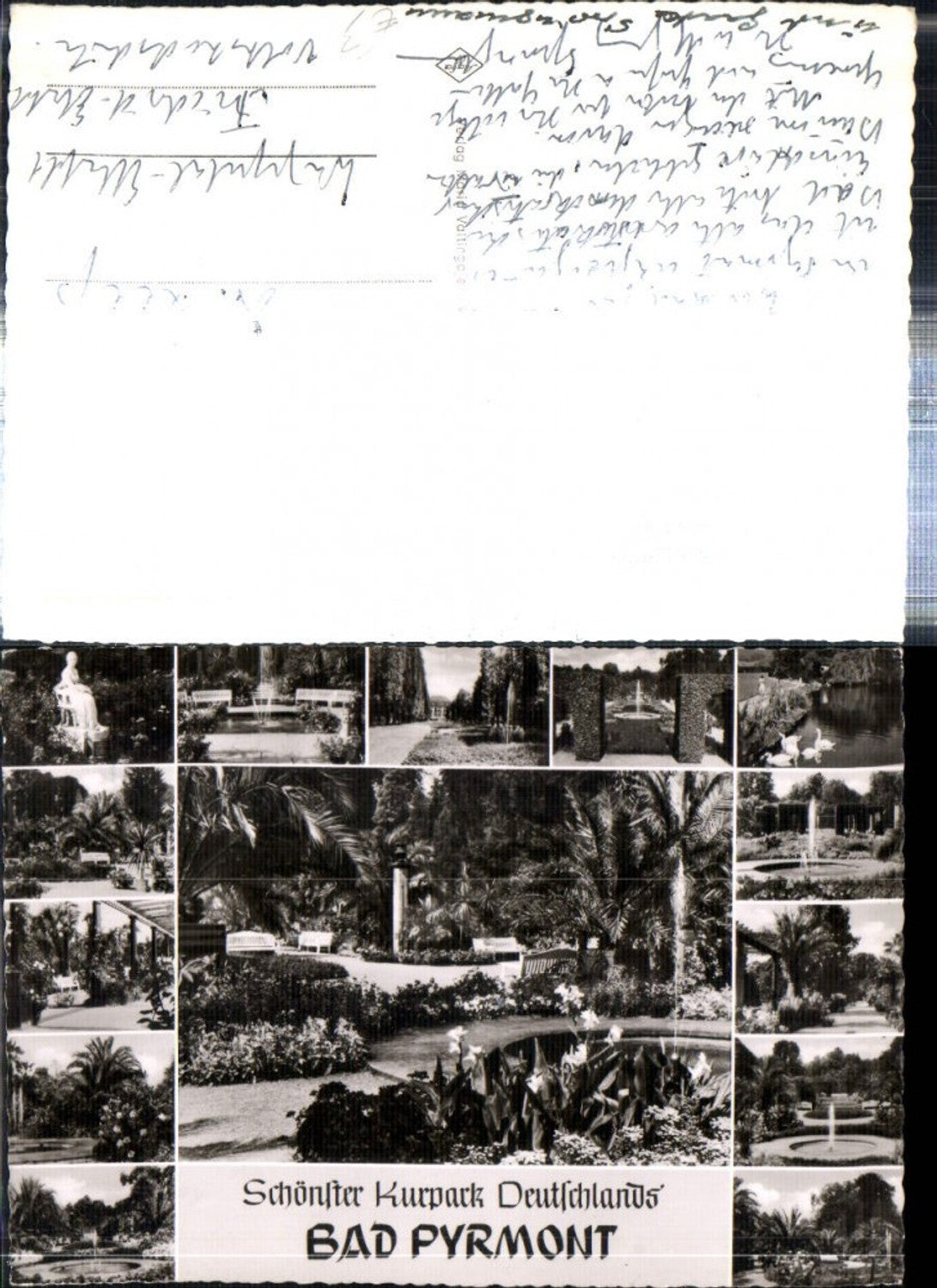 308196,Bad Pyrmont Kurpark Palmen Springbrunnen Statue Schwäne Mehrbildkarte