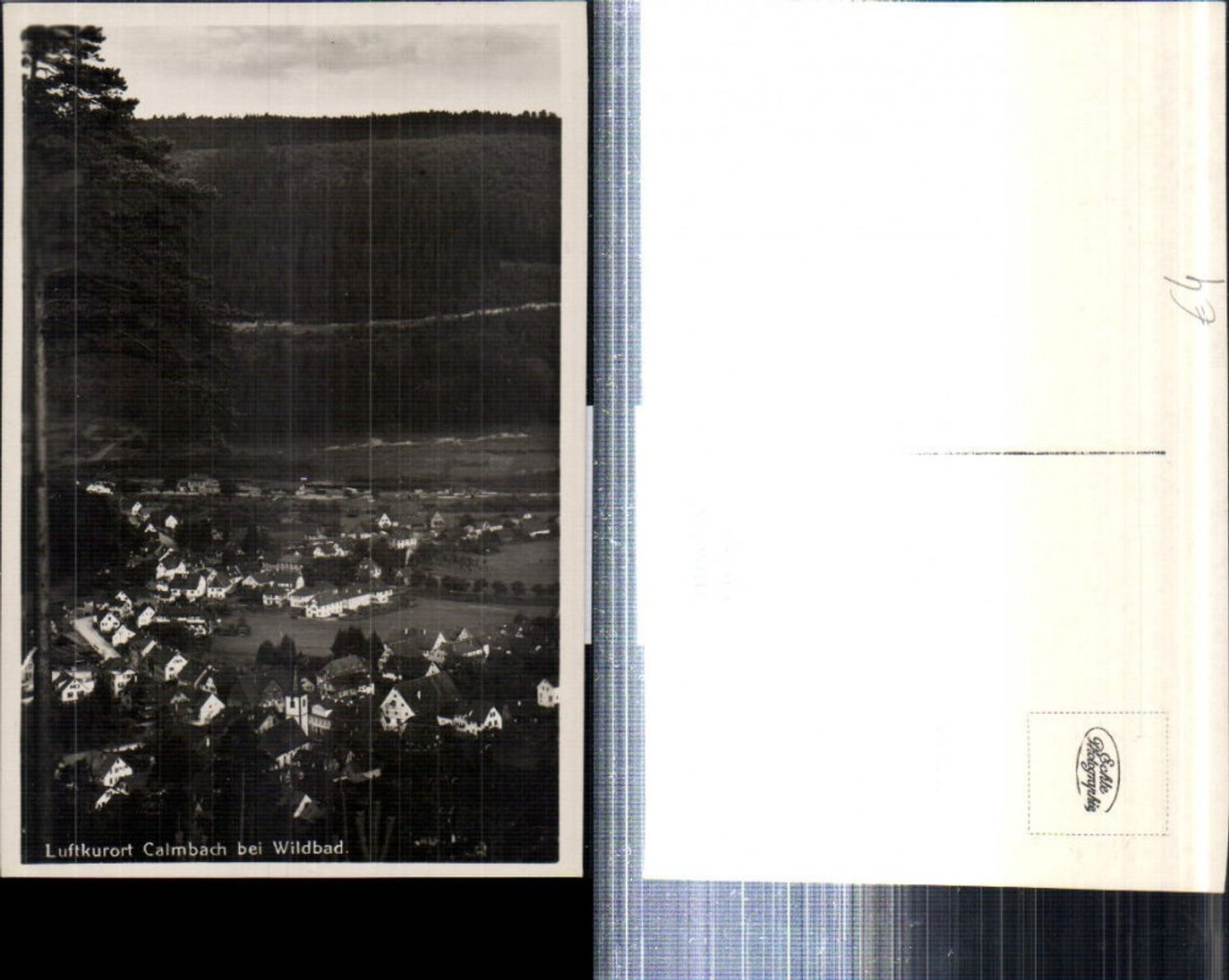 308285, Calmbach near Wildbad Total