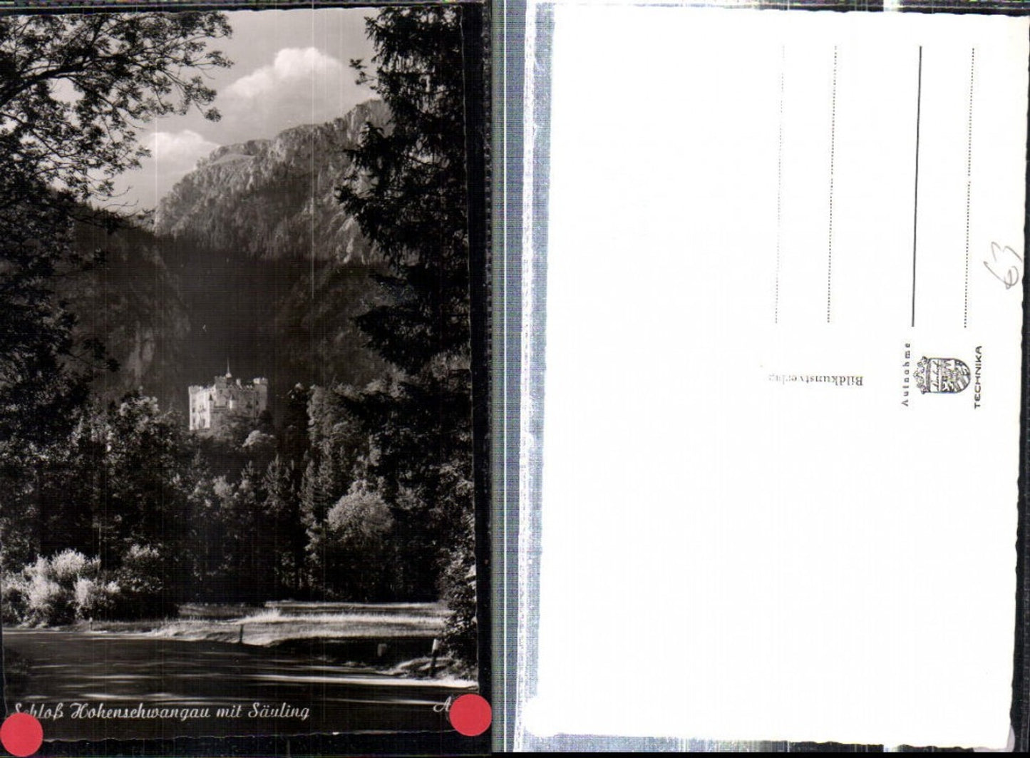 308363,Schloss Hohenschwangau b. Füssen m. Säuling
