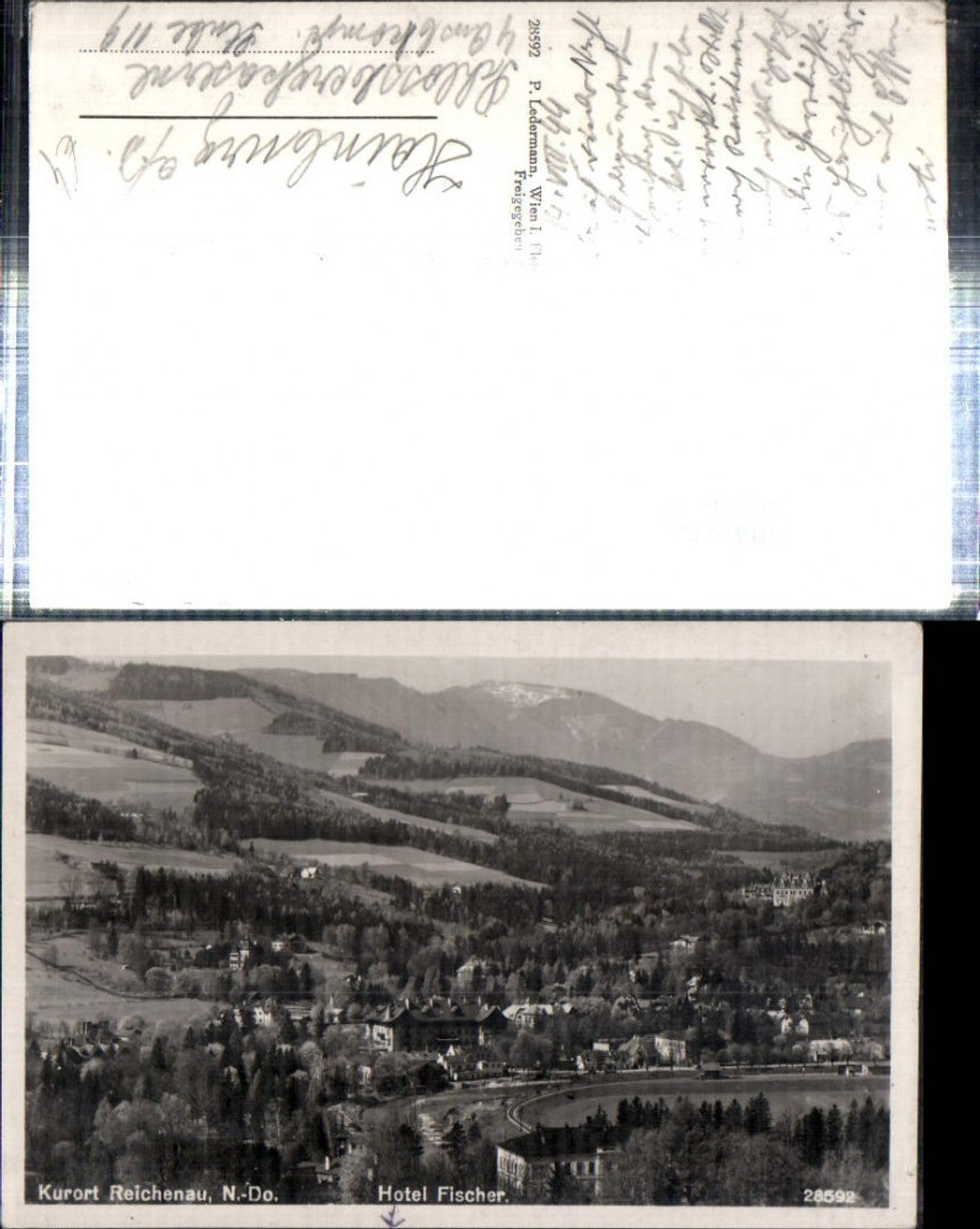 308640,Reichenau an d. Rax Teilansicht m. Hotel Fischer Bergkulisse