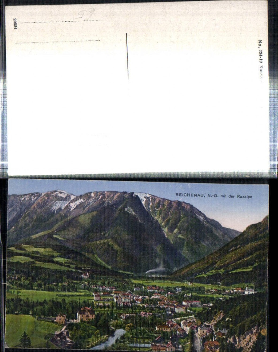 308663,Reichenau an d. Rax Totale m. Raxalpe Bergkulisse