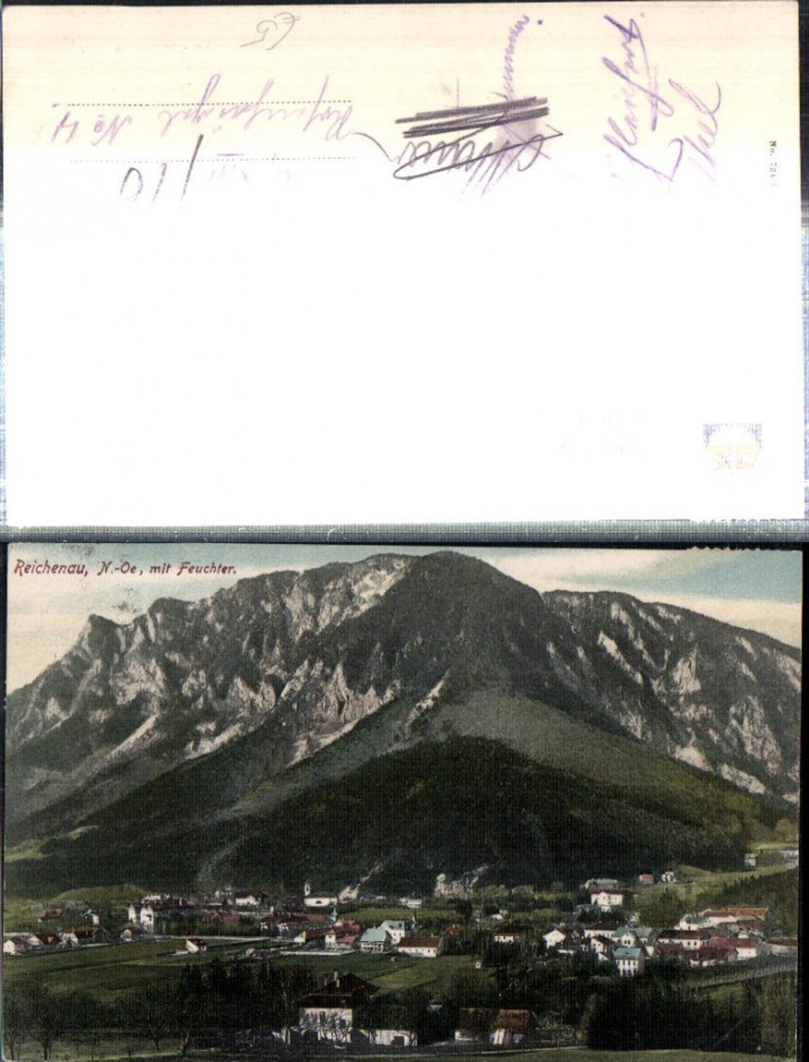 308674,Reichenau an d. Rax Teilansicht m. Feuchter Bergkulisse