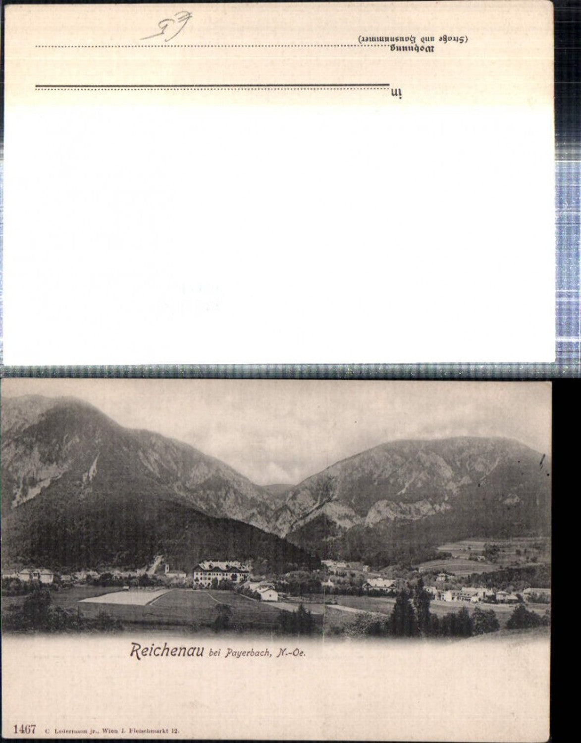 308690,Reichenau an d. Rax Teilansicht b. Payerbach Bergkulisse