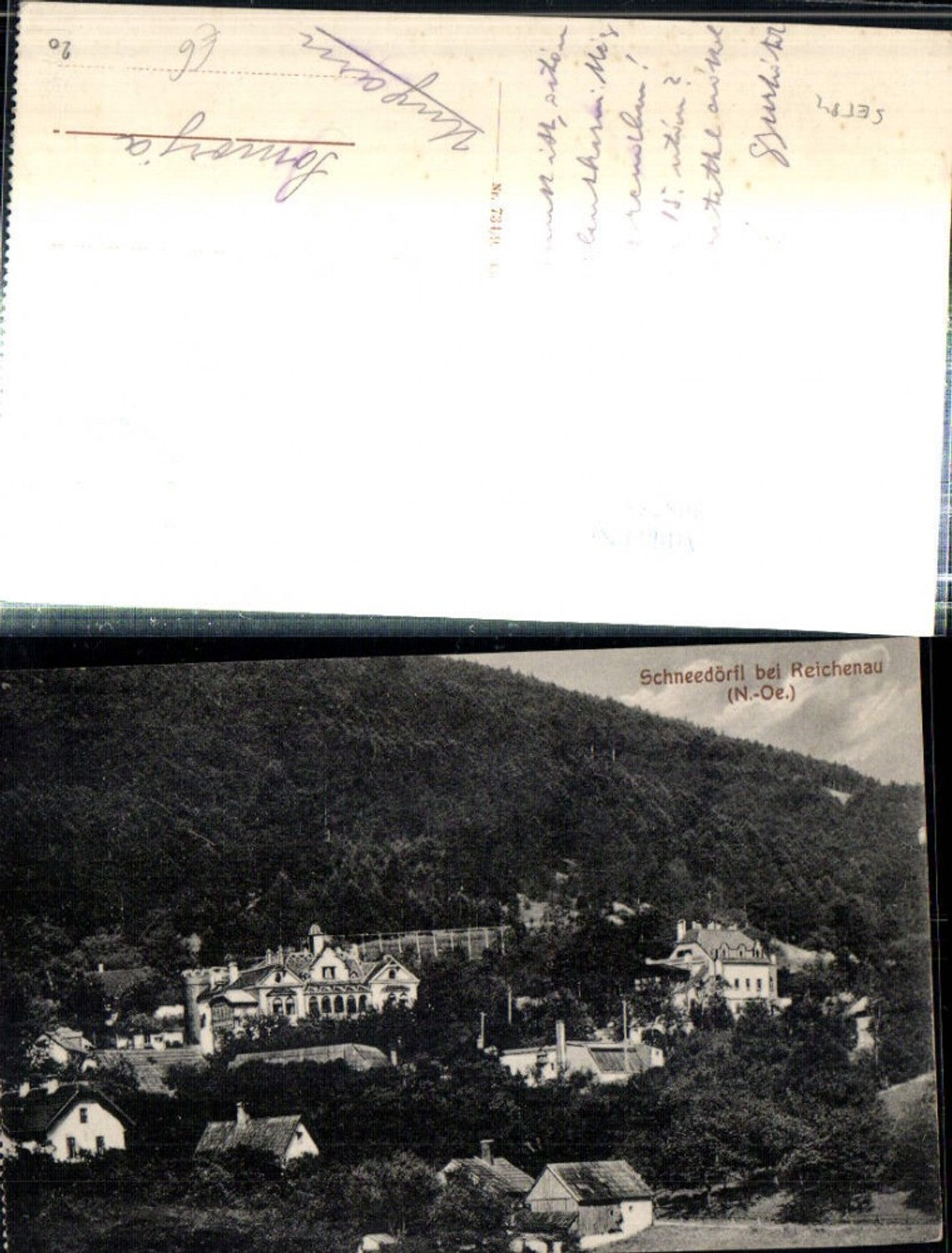 308755,Reichenau an d. Rax Schneedörfl Kuranstalt