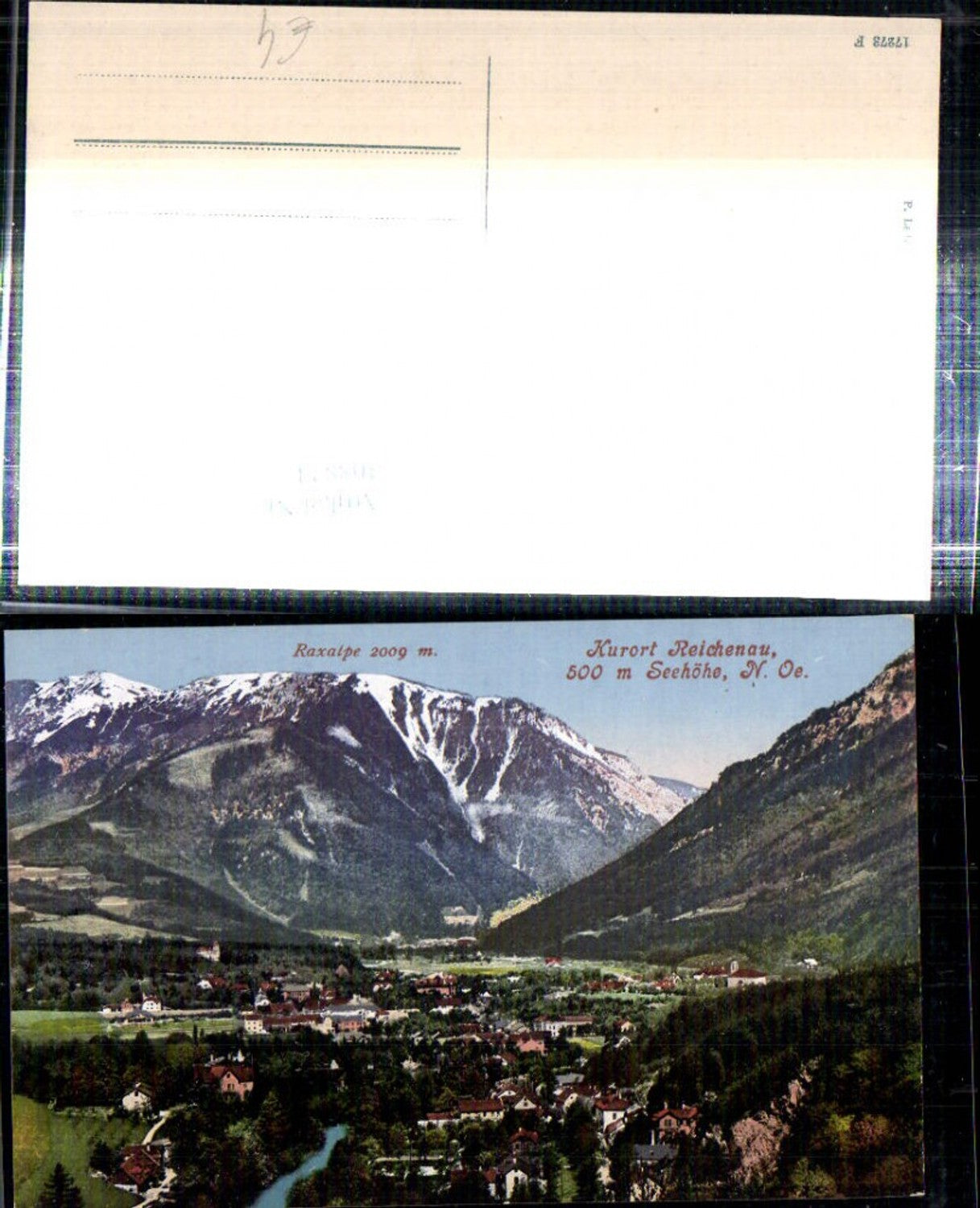 308824,Reichenau an d. Rax Totale m. Raxalpe Bergkulisse