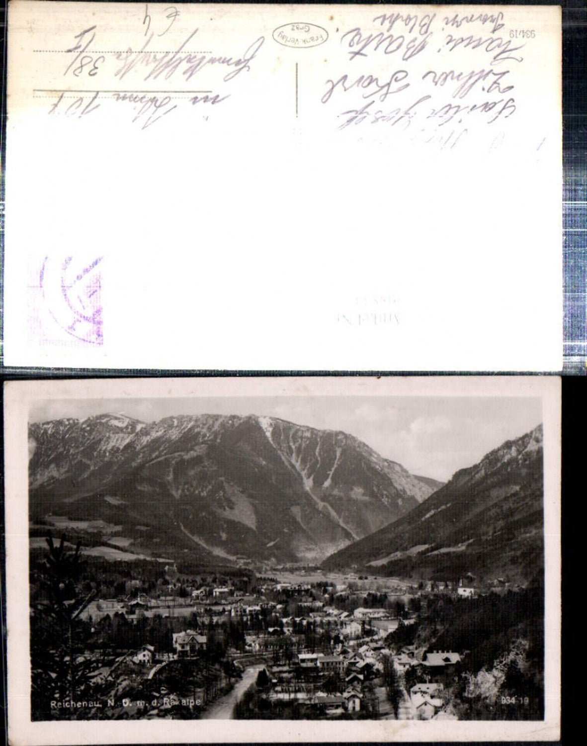 308833,Reichenau an d. Rax Totale m. Raxalpe Bergkulisse