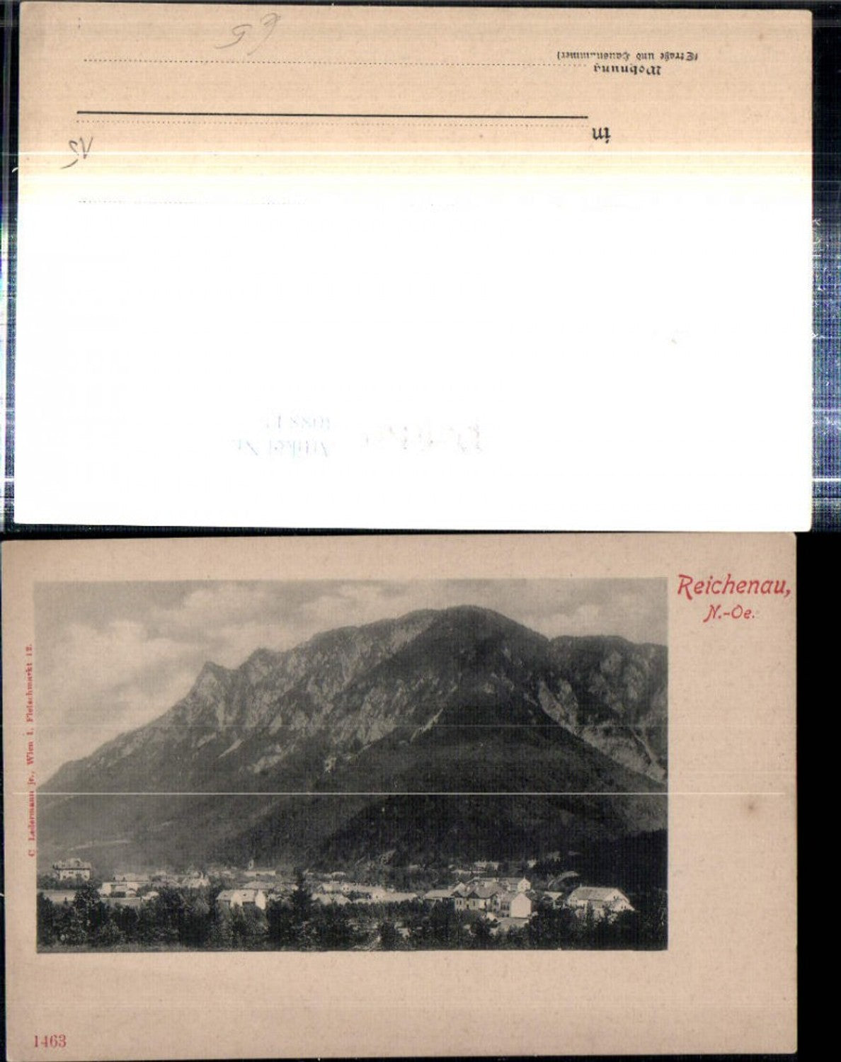 308842,Reichenau an d. Rax Totale Bergkulisse