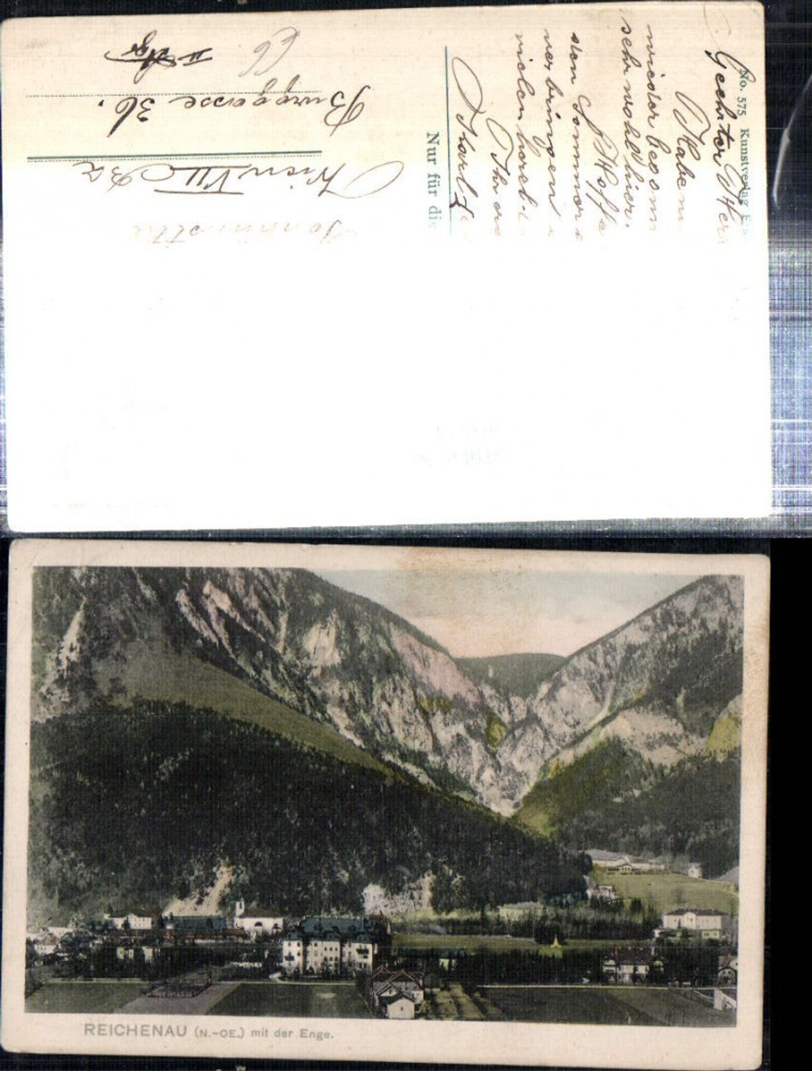 308874,Reichenau an d. Rax Teilansicht m. d. Enge