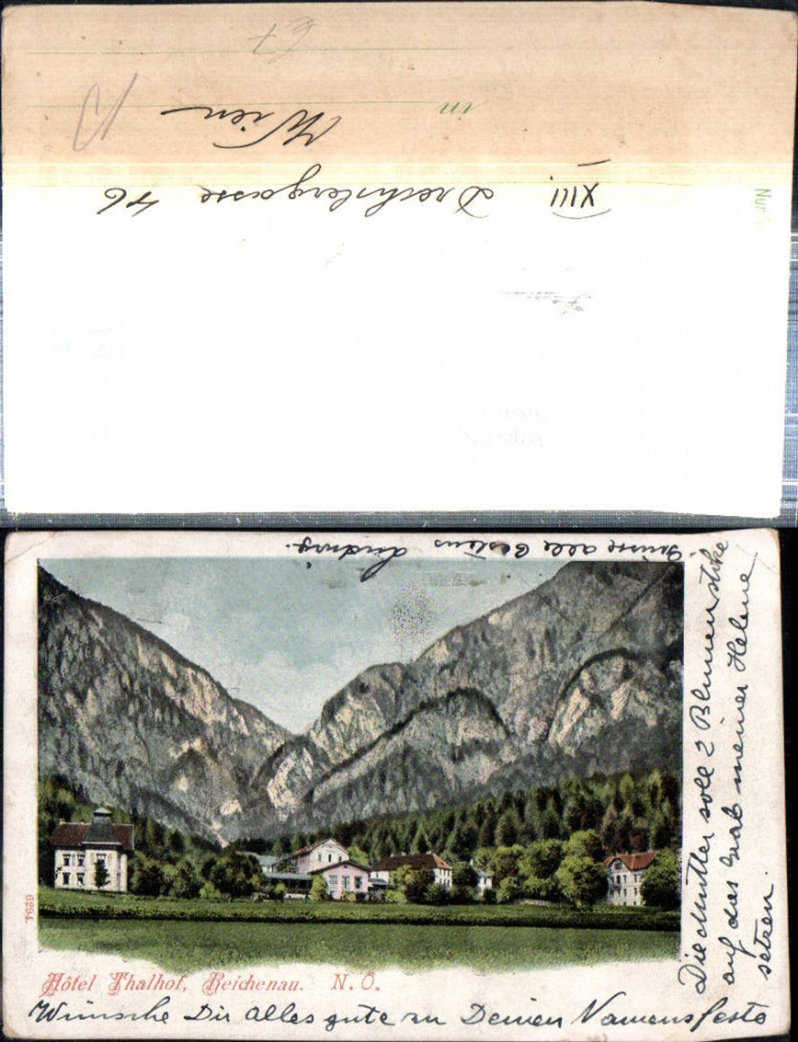 308915,Reichenau an d. Rax Hotel Thalhof Villen