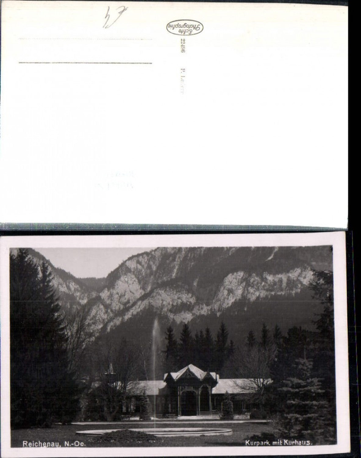 308931,Reichenau an d. Rax Kurpark m. Kurhaus Springbrunnen