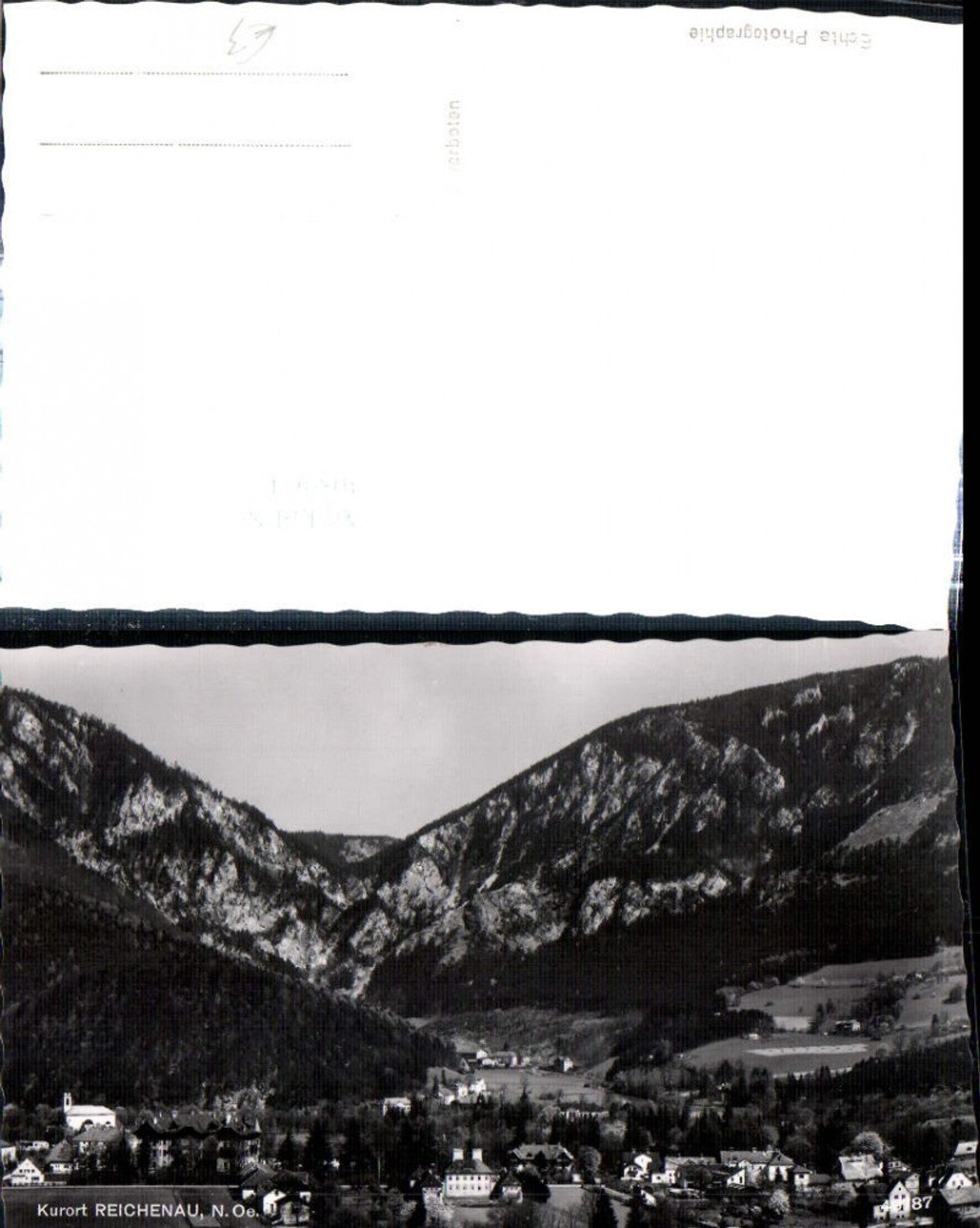 308964,Reichenau an d. Rax Teilansicht m. d. Enge
