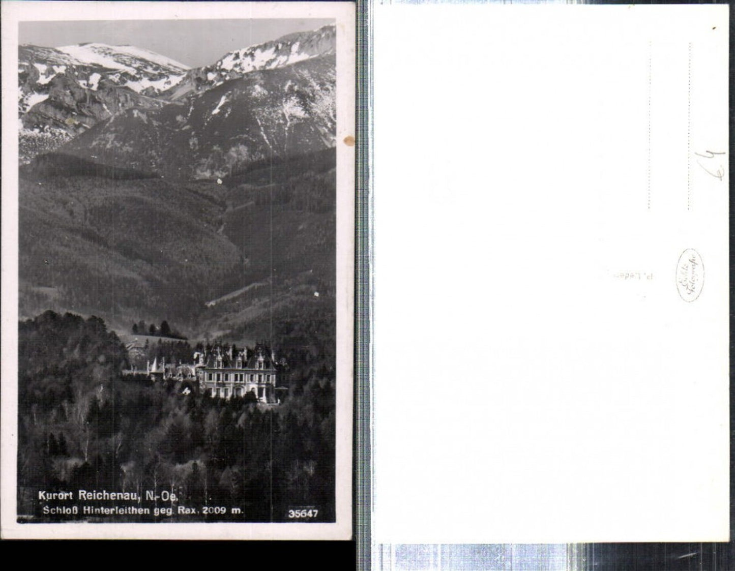 308974,Reichenau an d. Rax Schloss Hinterleithen geg. Rax Bergkulisse