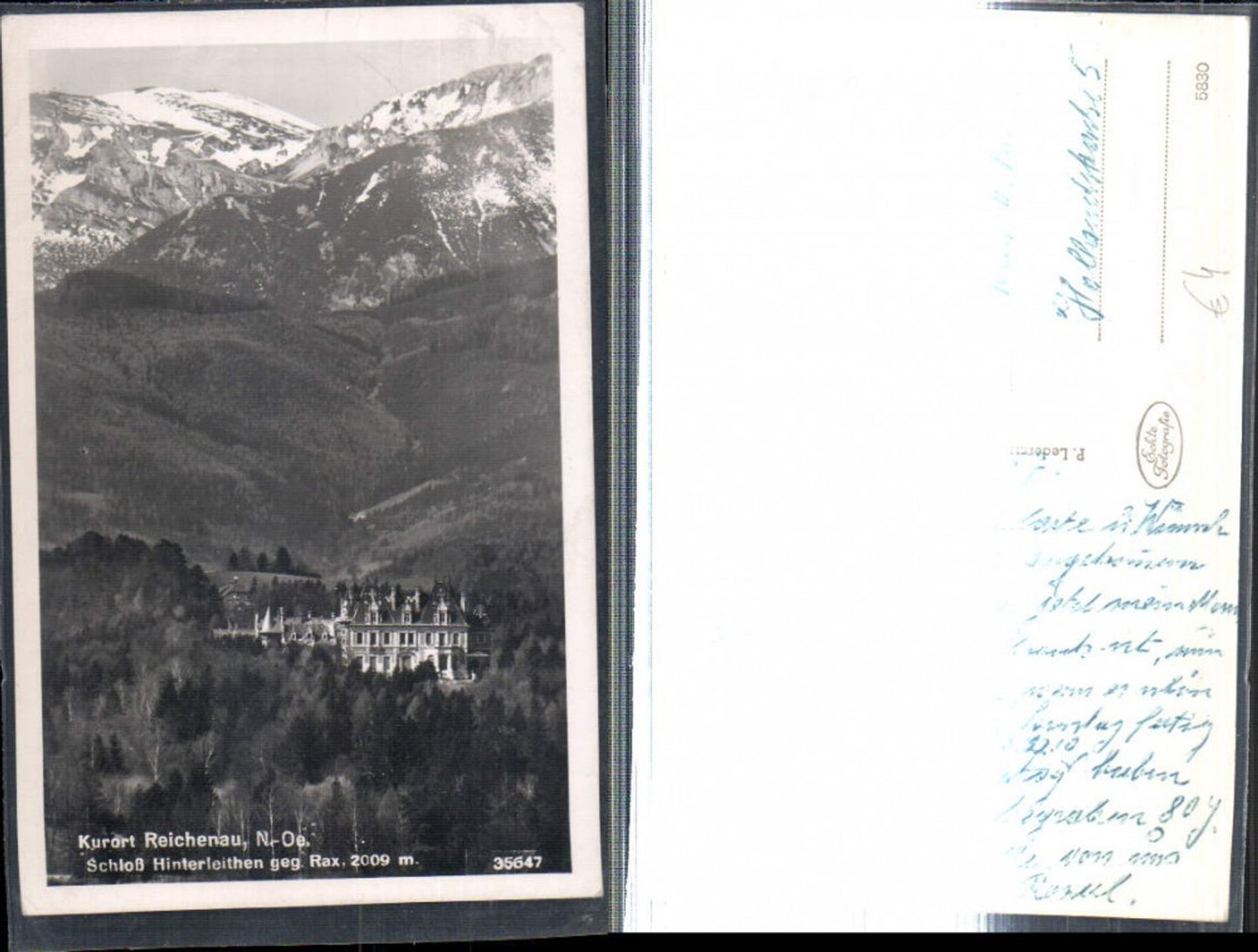 308979,Reichenau an d. Rax Schloss Hnterleithen geg. Rax Bergkulisse