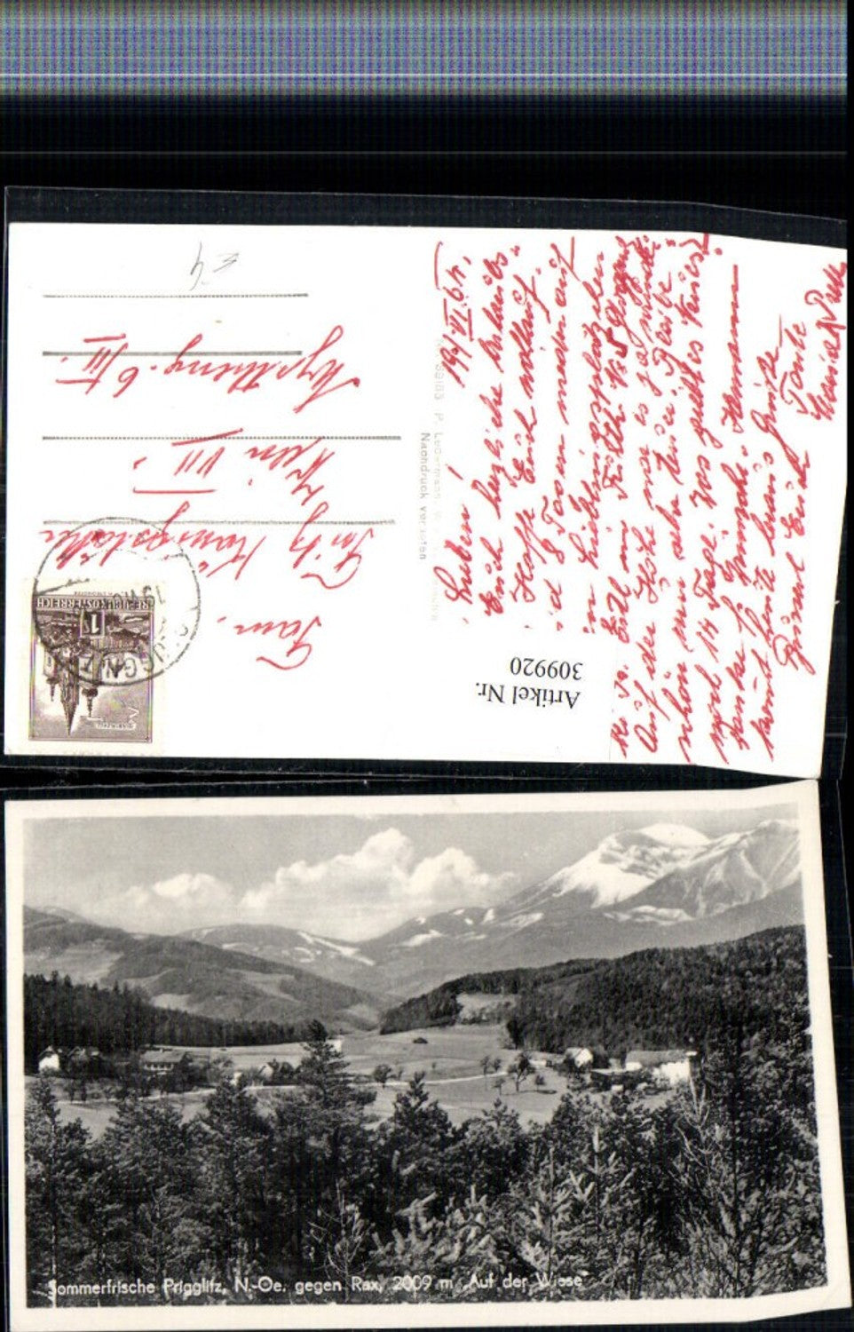 309920,Prigglitz Auf der Wiese geg. Rax Bergkulisse