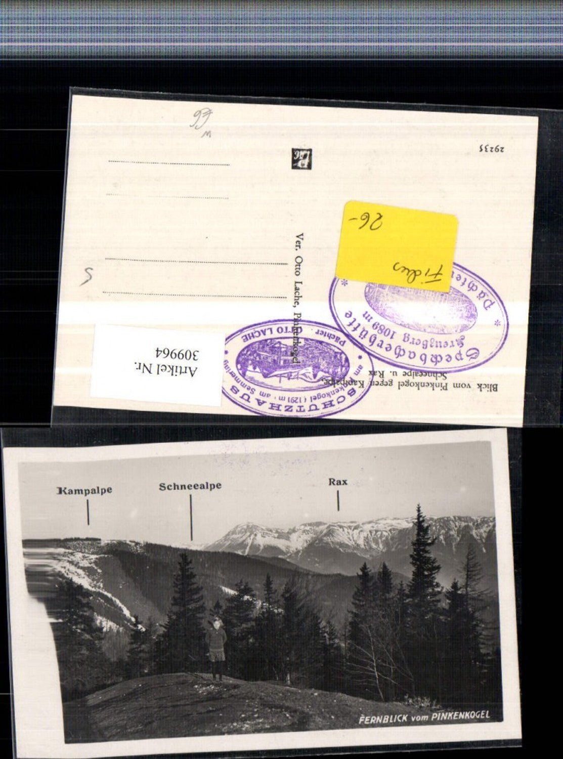 309964,Semmering Blick vom Pinkenkogel geg. Kampalpe Schneealpe u. Rax Bergkulisse