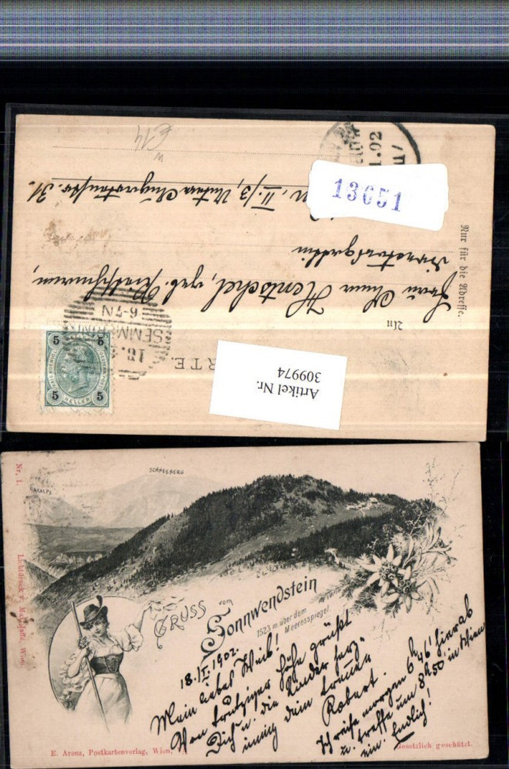309974, Greetings from Sonnwendstein near Semmering, woman in traditional dress, feathered hat, multi-image postcard