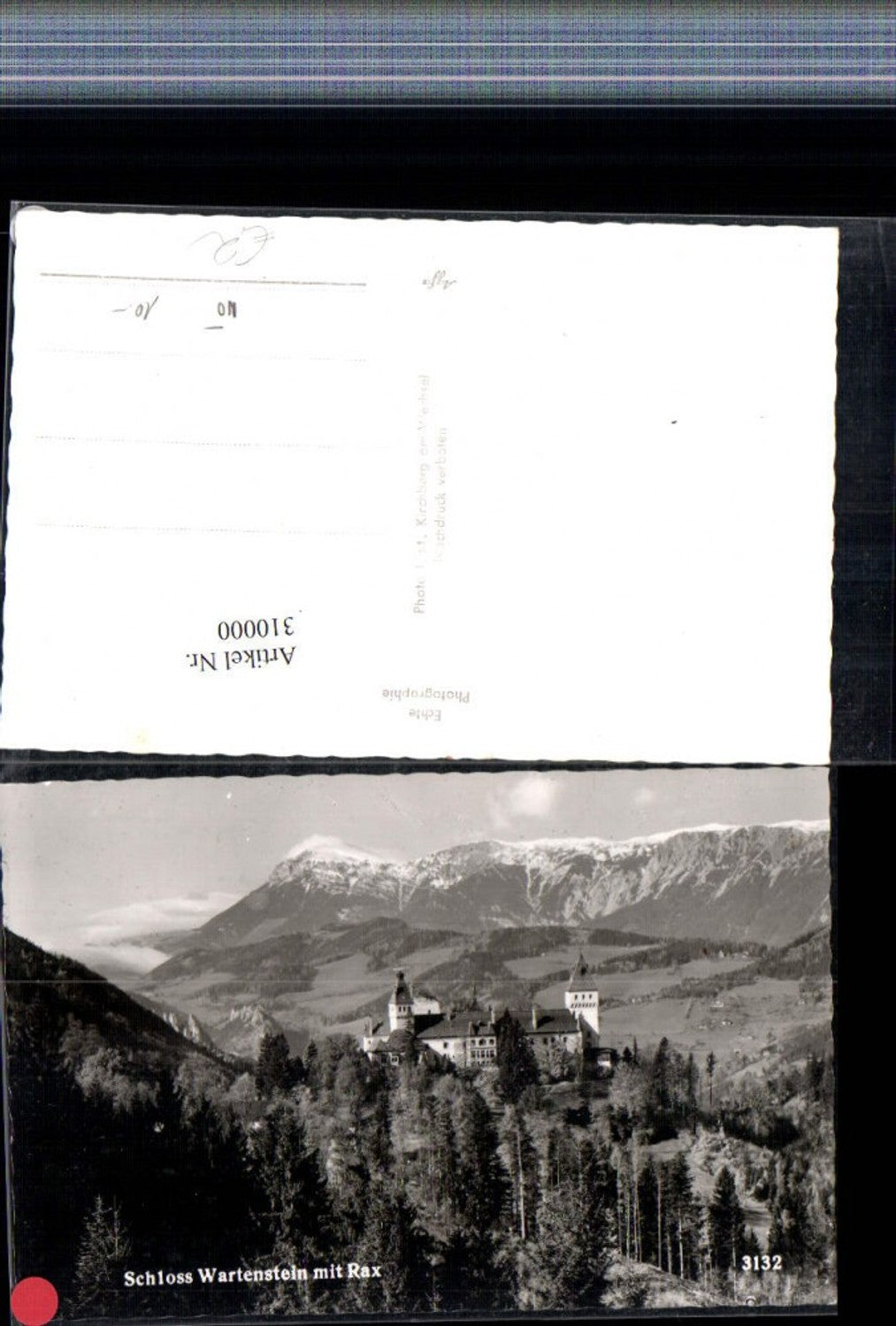 310000,Schloss Wartenstein b. Gloggnitz m. Rax Bergkulisse