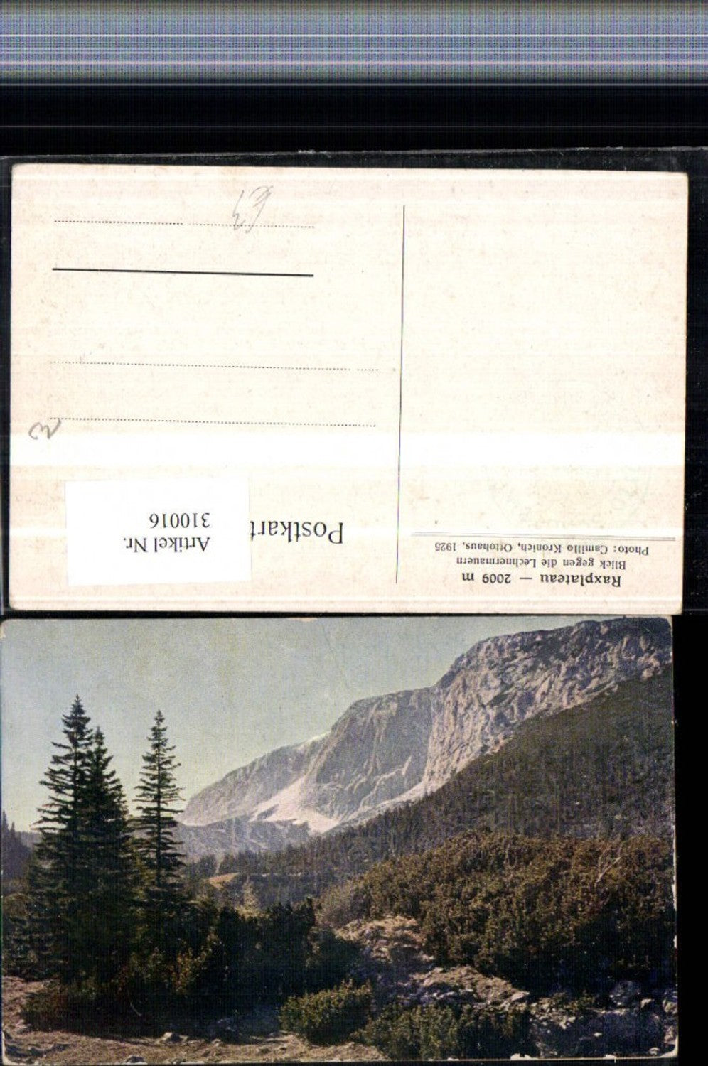 310016,Raxplateau Blick geg. Lechnermauern b. Reichenau Bergkulisse