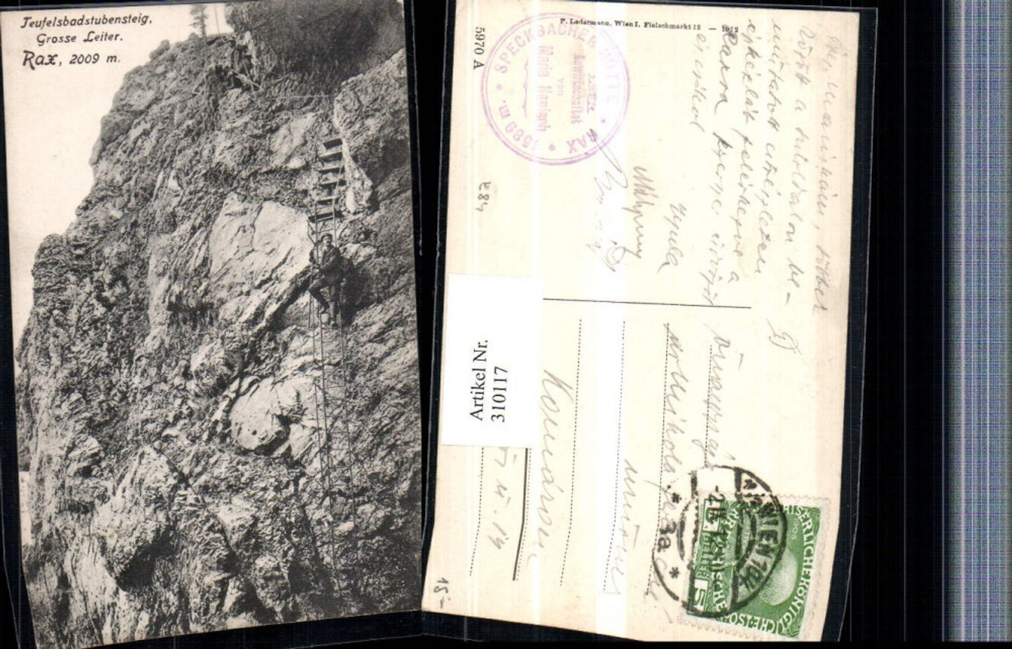 310117,Rax Teufelsdbadstubensteig b. Reichenau Große Leiter Bergsteiger