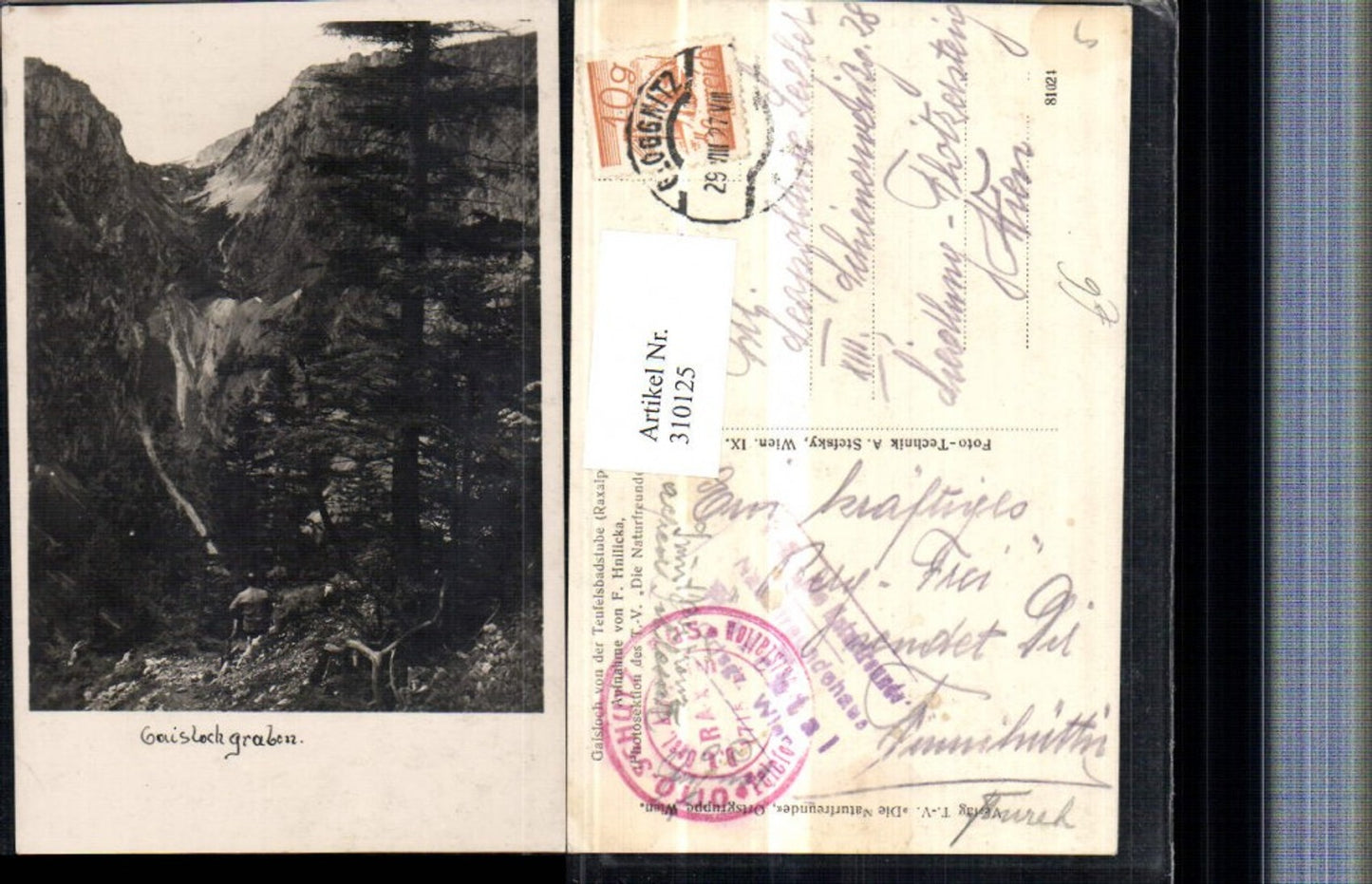 310125,Raxalpe Gaisloch von d. Teufelsbadstube b. Reichenau Bergkulisse