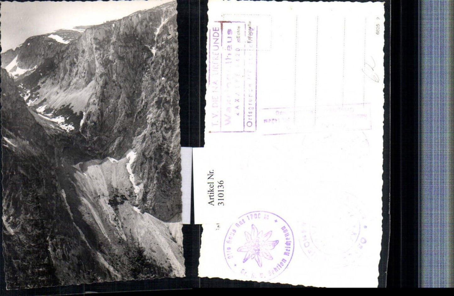 310136,Rax Gaisloch von d. Loswand b. Reichenau Bergkulisse